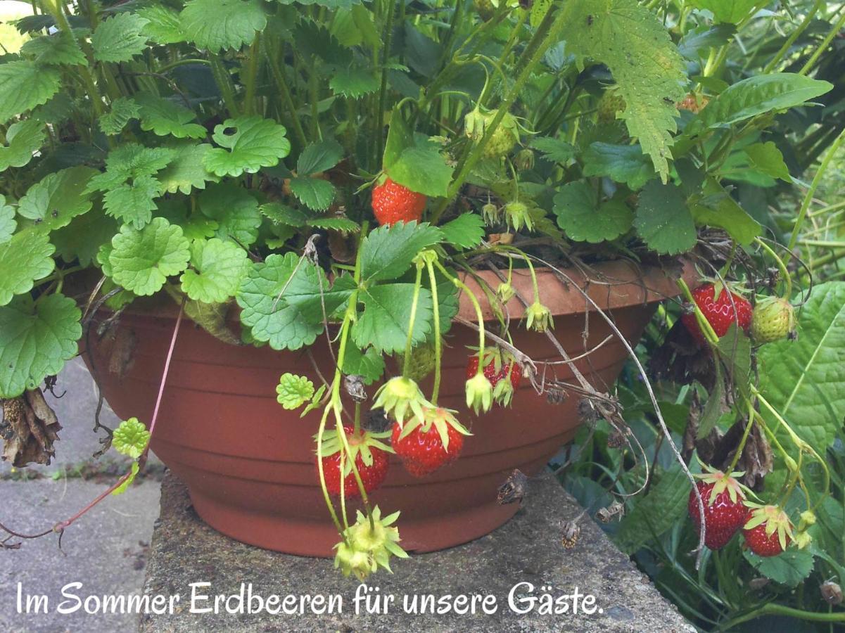 Ferienwohnung Am Ellerbach 헤지슈올덴도르프 외부 사진